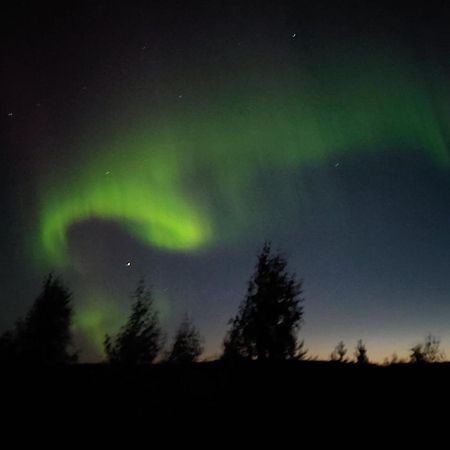 Lapland Forest Lodge 罗瓦涅米 外观 照片