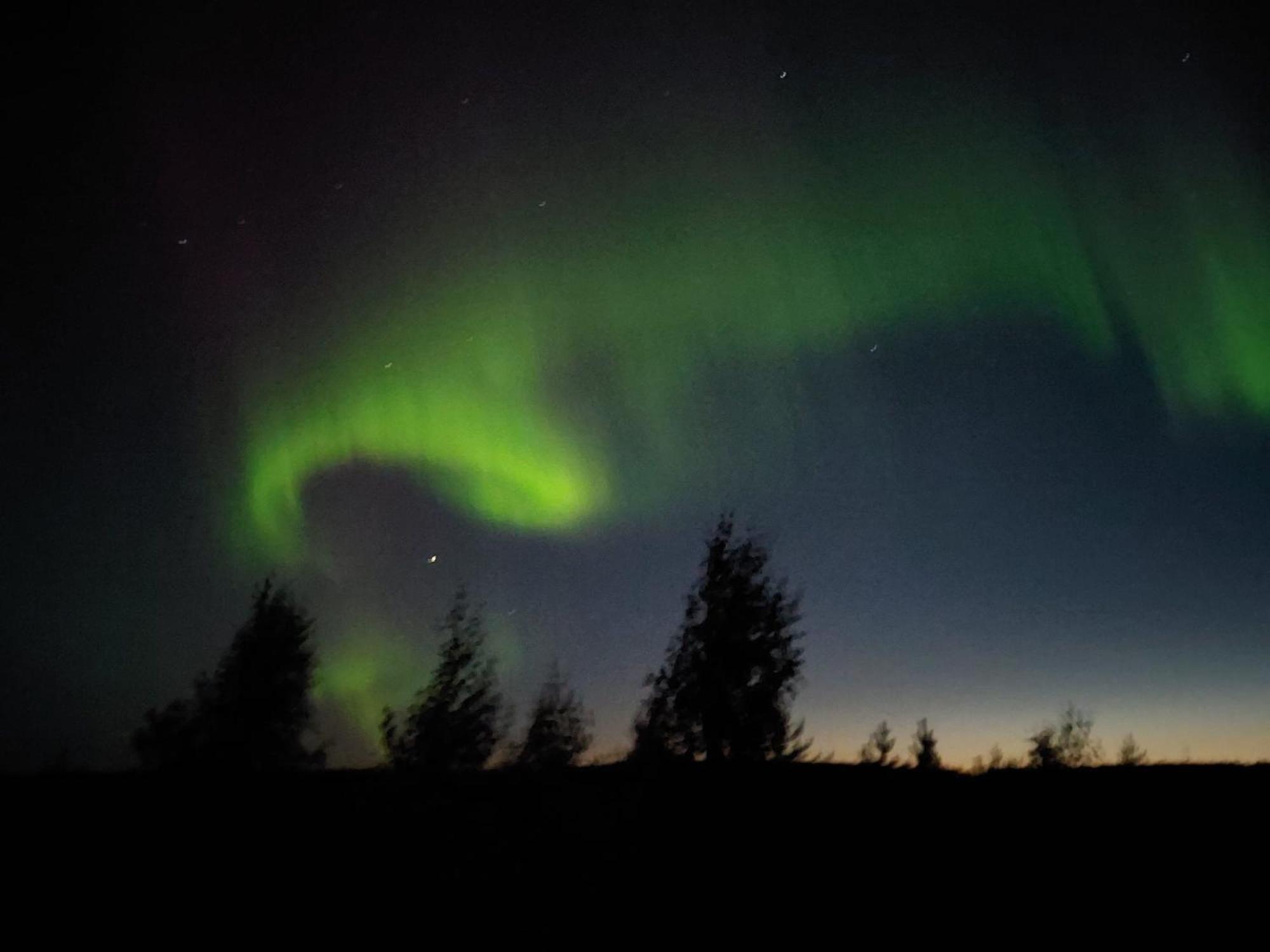 Lapland Forest Lodge 罗瓦涅米 外观 照片